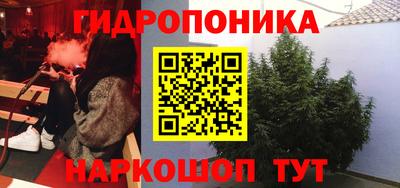 гидра Беслан