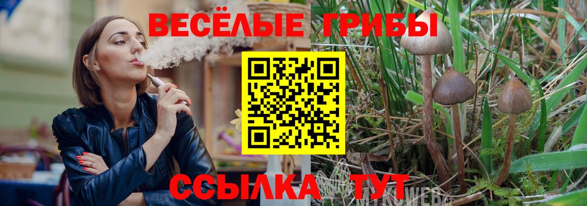 Псилоцибиновые грибы ЛСД Кизляр